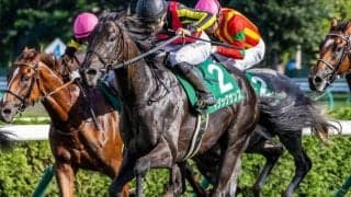 【ホープフルS予想】調整の難しい冬場は前走からの間隔が重要!? 重賞勝ち馬に不安要素も