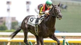 【ホープフルS前日オッズ】クロワデュノールが2.1倍で1番人気