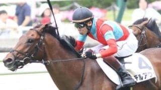 中山芝は展開次第 ホープフルSは差し有利でデルアヴァーが穴だ