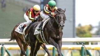 【AI予想・ホープフルS】2歳中距離王決定戦は関西馬が圧倒！ 前回以上のパフォーマンスに期待できそうな人工知能の本命とは