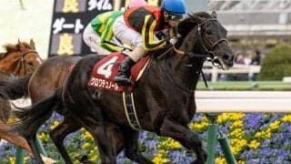 霜降り明星・粗品がホープフルS的中狙う 「怪物クラスやと思っている」と無敗制覇に期待したのは