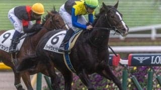 三冠牝馬アパパネの仔 1年ぶりの白星へ武豊騎手と初タッグ