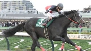 ドライスタウトが引退、種牡馬入り