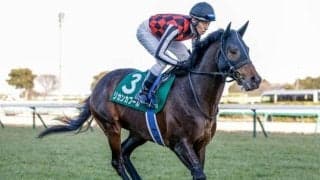 【中山金杯想定馬・騎手】リカンカブール、ラーグルフなど24頭