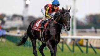 【今日の注目ポイント】中山で2歳中距離王決定戦ホープフルS