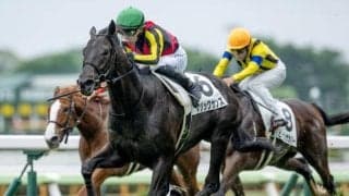 【ホープフルS予想】ペースの見極めがカギに 来年のクラシックへ向けた重要な一戦