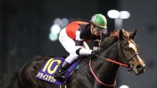 21年のダート2歳王者 ドライスタウトが抹消・種牡馬入り