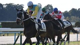 【京都5R新馬戦結果】オルフェーヴル産駒ムーンライトラガーが突き抜け快勝