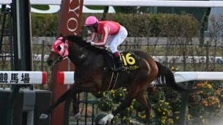 【ベテルギウスS結果】9番人気サンデーファンデーが押し切りオープン初V