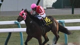 【JRA・WIN5】2024年最後のWIN5は的中166票、配当384万5200円