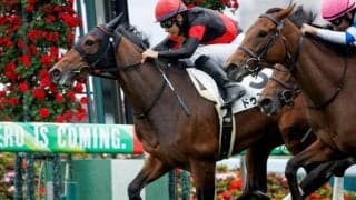 【京都金杯】ドゥアイズ、シャドウフューリーらが登録