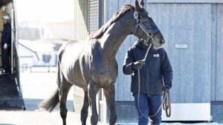 国内外のビッグレースで総賞金15億円超獲得 ダービー馬シャフリヤールが社台SSに到着