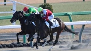 【新馬/中山6R】9番人気の伏兵ドルンレースツェンが低評価を覆す