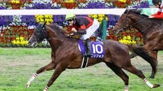 セリフォスが引退、種牡馬入り