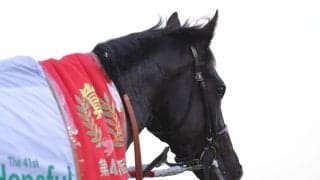 【ホープフルS】北村友「来年に繋げたい」クロワデュノールが無傷の3連勝