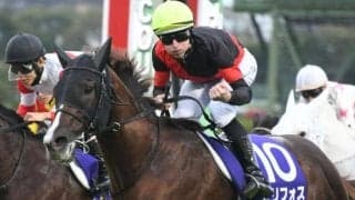 22年マイルCS覇者セリフォスが登録抹消 優駿SSで種牡馬に