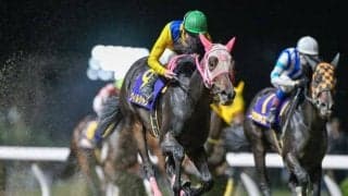 【大井・東京2歳優駿牝馬枠順】無傷3連勝中のウィルシャインは2枠3番