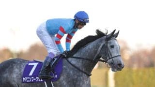 【ホープフルS】G1完全制覇ならず…武豊「まだ不器用」レース後ジョッキーコメント