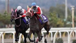 【岩手競馬】金杯みどころ…マツリダマスラオなど