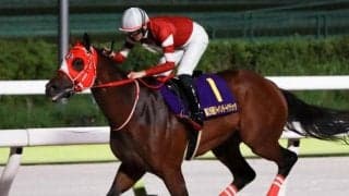 【大井・東京大賞典注目馬】ダート競馬の総決算 ウシュバテソーロやフォーエバーヤングらが覇を競う