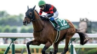 【中山金杯想定騎手】ホウオウビスケッツはH.ドイル騎手、クリスマスパレードは石川裕紀人騎手