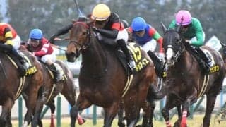 【京都金杯想定騎手】ドゥアイズは武豊騎手、シャドウフューリーは川田将雅騎手