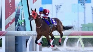 【東京大賞典】国内無敗！フォーエバーヤングが古馬撃破