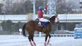 【東京大賞典】前年比114%売上レコードを記録…フォーエバーヤングがV