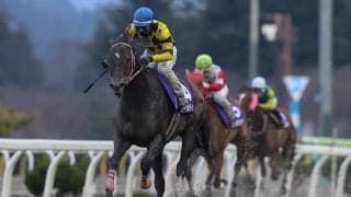 【岩手競馬】桐花賞見どころ…岩手のグランプリレース