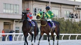 【東京大賞典】三浦「グッと雰囲気も上がっていた」東京ダービー馬ラムジェットは3着まで