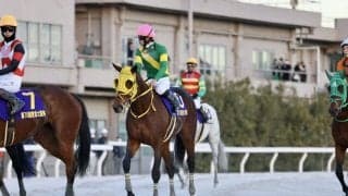 【東京大賞典】菅原明「良いレースはしてくれています」ウシュバテソーロ連覇ならず