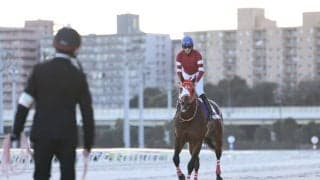 【東京大賞典】矢作師「サウジCを目標に」フォーエバーヤング古馬撃破