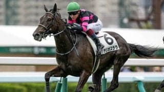 わずか7頭の初年度産駒からGI・3着馬も誕生 来年以降も要注目の種牡馬とは