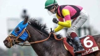 【BMSリーディング】2年連続で1位ディープインパクト＆2位キングカメハメハ