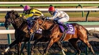 【先週のJRA抹消馬】ドウデュースやスターズオンアースなど 複数のGIウイナーが現役生活にピリオド