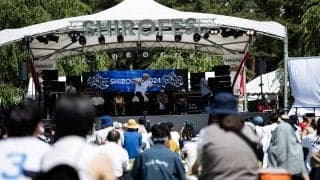 2024年バズった動画は！？FINEPLAY TikTok再生回数ランキング Top5