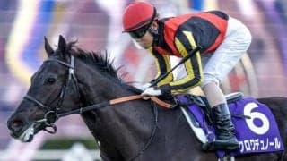 【馬主リーディング】レガレイラやクロワデュノールなどでGI・6勝 サンデーレーシングが8連覇