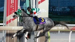 【東京シンデレラマイル】吉原騎乗のフェブランシェが完勝…売得金は前年比ダウン