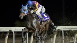 【水沢・金杯】ラヴェイが重賞初制覇…山本「今は状態が非常にいい」