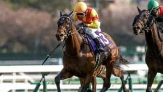 【種牡馬リーディング】キズナが初の戴冠 ロードカナロアは5年連続の2位