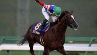 今なお血統表で存在感放つ「ブライアンズタイム」 その特徴と能力に与える影響は