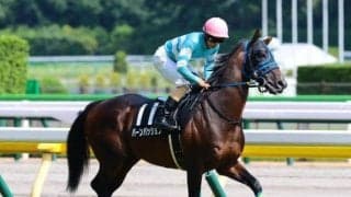 出走回数1位は年間15走!? JRA珍リーディング