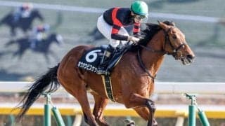 2025年の中央競馬開幕日に中山金杯＆京都金杯/今週の競馬界の見どころ