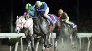 【岩手競馬】2024年シーズン前年度比111%の発売実績