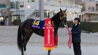 【東京2歳優駿牝馬】大晦日は前年比ダウン…プラウドフレールが快勝
