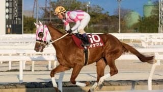 【園田ジュニアカップ】オケマルが4戦無敗で世代チャンピオンに…7馬身差圧勝