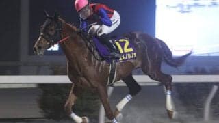 【高知県知事賞】ユメノホノオが連覇達成…吉原「磐石な競馬」