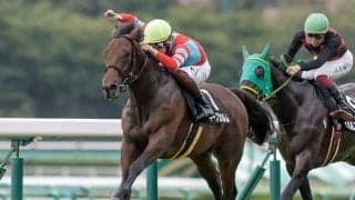 【京都金杯見どころ】マイル路線で視界開けたキープカルム