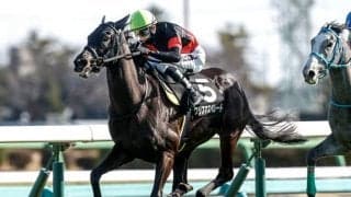 【中山金杯見どころ】中山全勝のクリスマスパレードが重賞2勝目を狙う