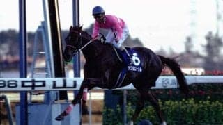 サクラローレルも新春が初重賞V 中山金杯から羽ばたいた馬たち